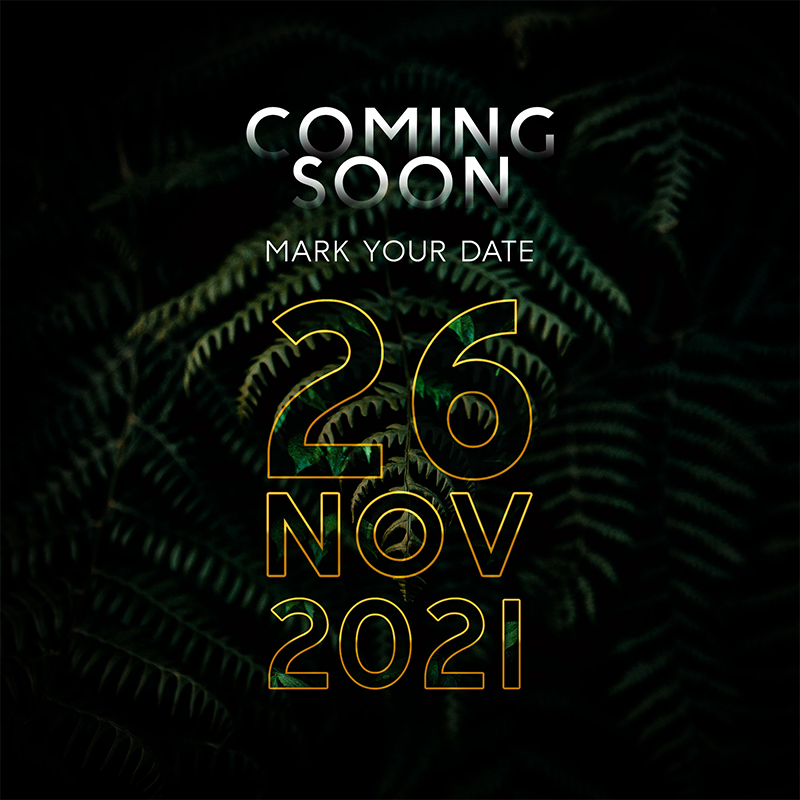 Teaser-12